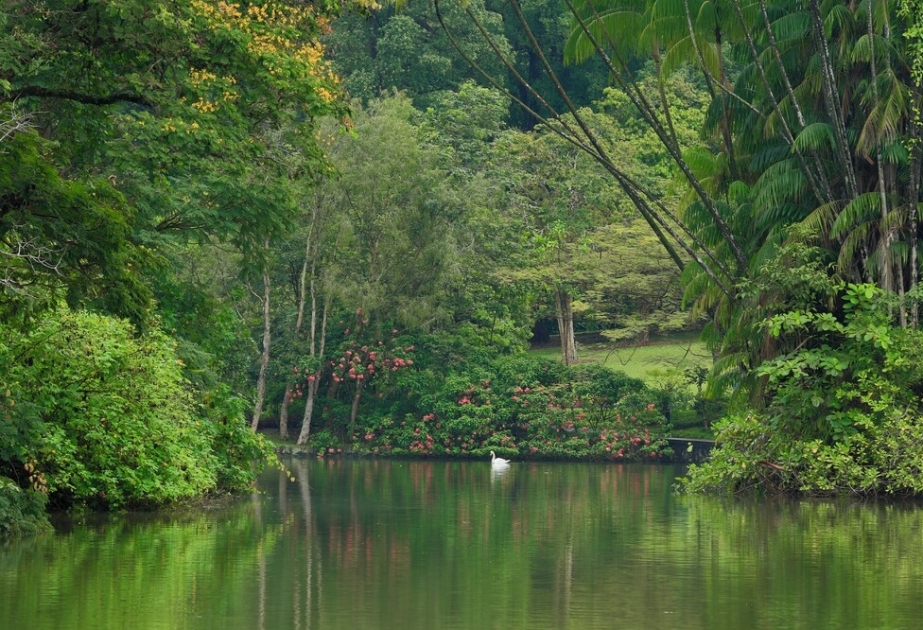 Singapore Botanic Gardens - UNESCO World Heritage site, a modern world-class scientific institution used for conservation and education