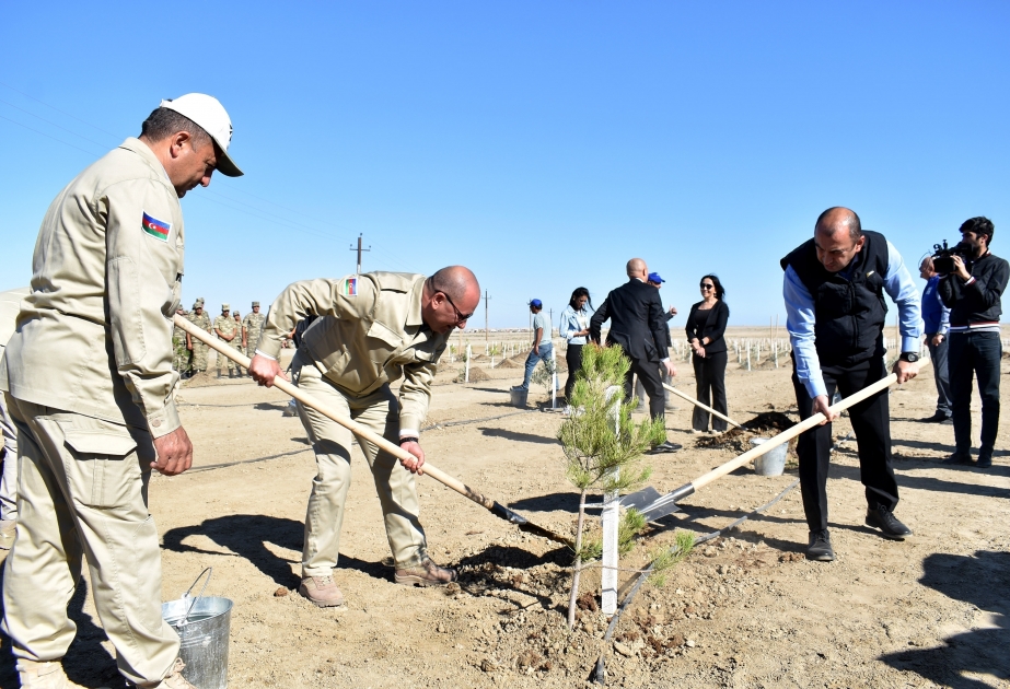 Tree-planting campaign held on occasion of Remembrance Day