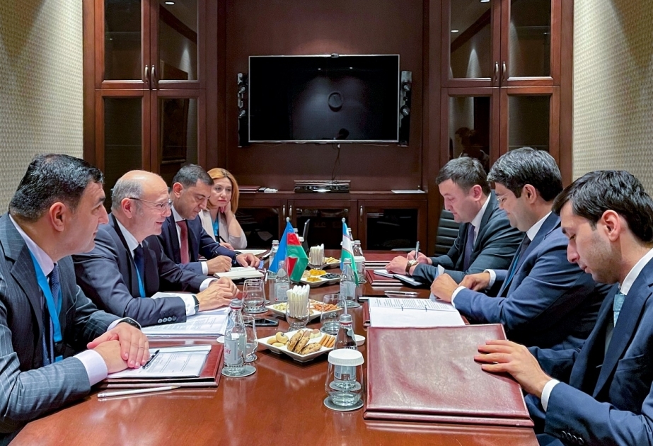 Azerbaijan, Uzbekistan discuss energy cooperation road map in Almaty