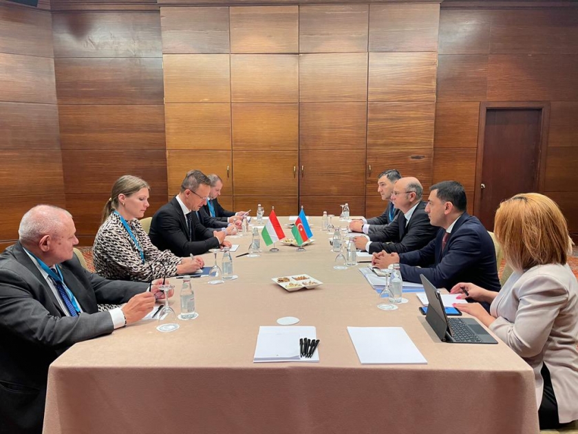 Парвиз Шахбазов встретился с министром иностранных дел и торговли Венгрии