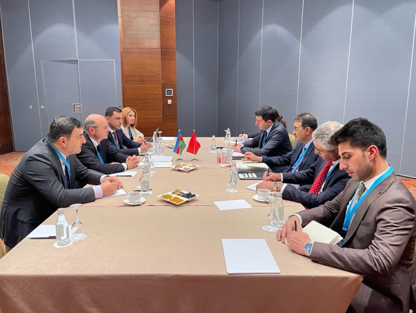 Azerbaijani, Turkish energy ministers meet in Almaty