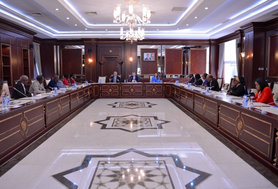 Milli Məclisdə "Diplomatiyada parlamentin rolu" mövzusunda müzakirələr aparılıb