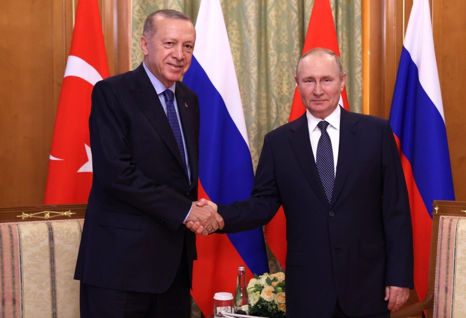 Президенты России и Турции провели телефонный разговор