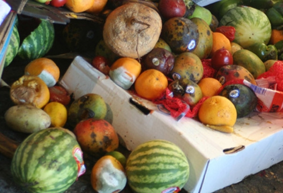 ФАО: чтобы накормить мир нужно не только производить больше продуктов, но и бережно относиться к еде