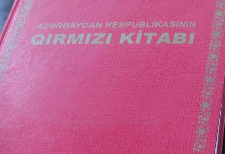 "Qırmızı kitab"ın üçüncü nəşrində azad edilmiş ərazilərdə aparılan tədqiqat işləri də yer alacaq