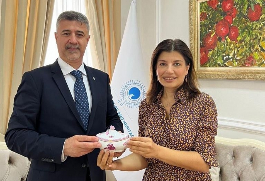 International Turkic Culture and Heritage Foundation, Hungary discuss cooperation prospects