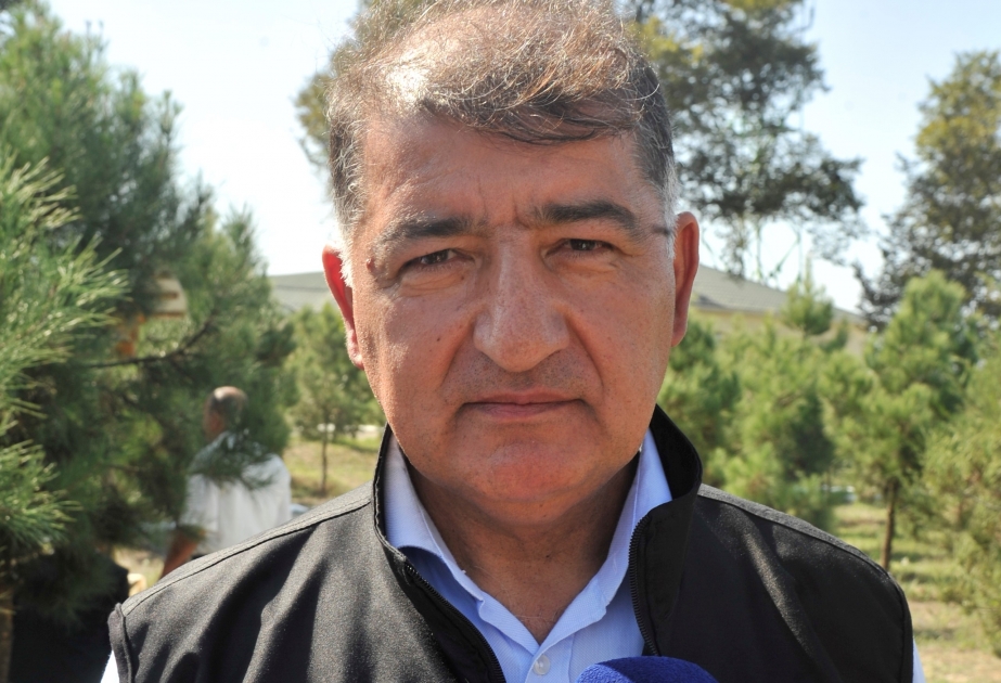 Azərbaycanda meşə yanğınları zamanı demək olar ki, oduncaq itkisi olmur
