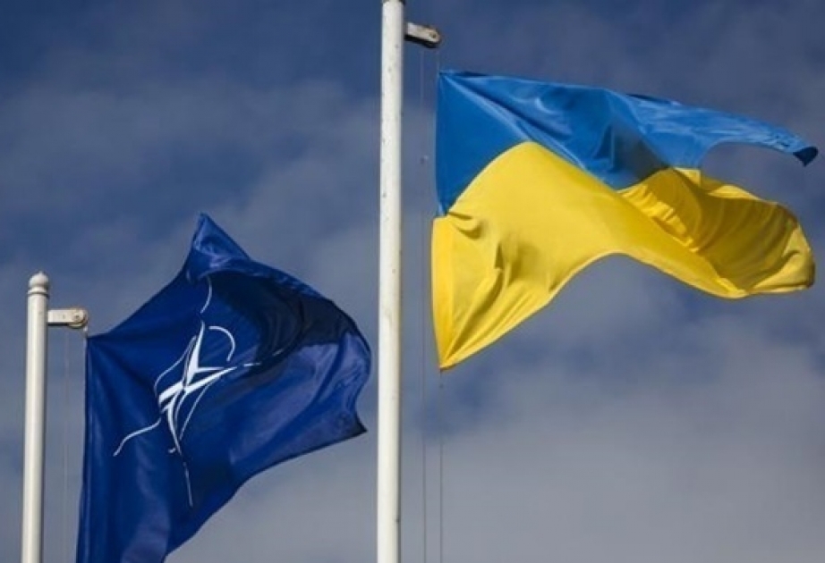 Ukraynalıların 80 faizindən çoxu NATO-ya üzv olmağı dəstəkləyir