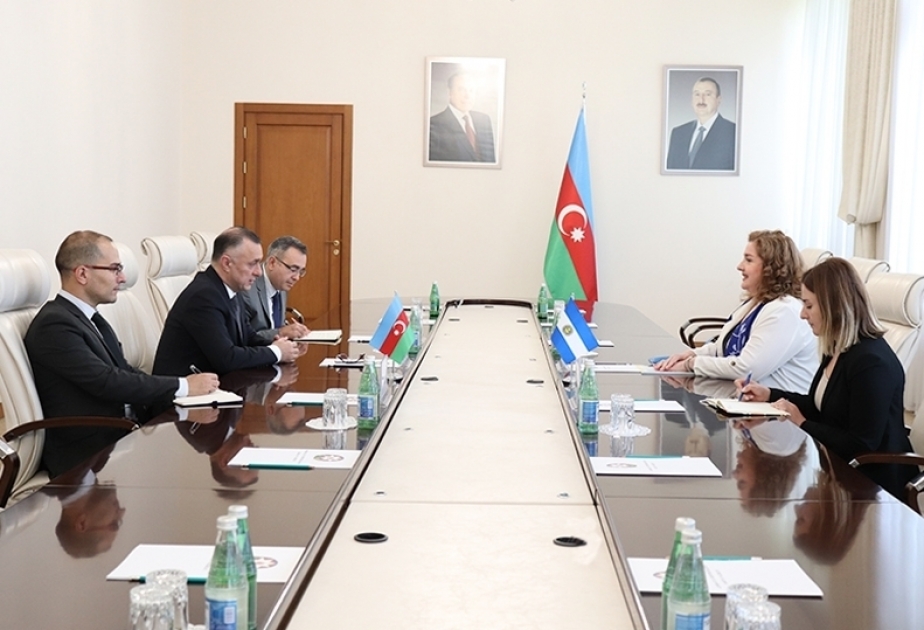 Se discuten las nuevas perspectivas de desarrollo y fortalecimiento de la cooperación azerbaiyano-argentina en la industria farmacéutica