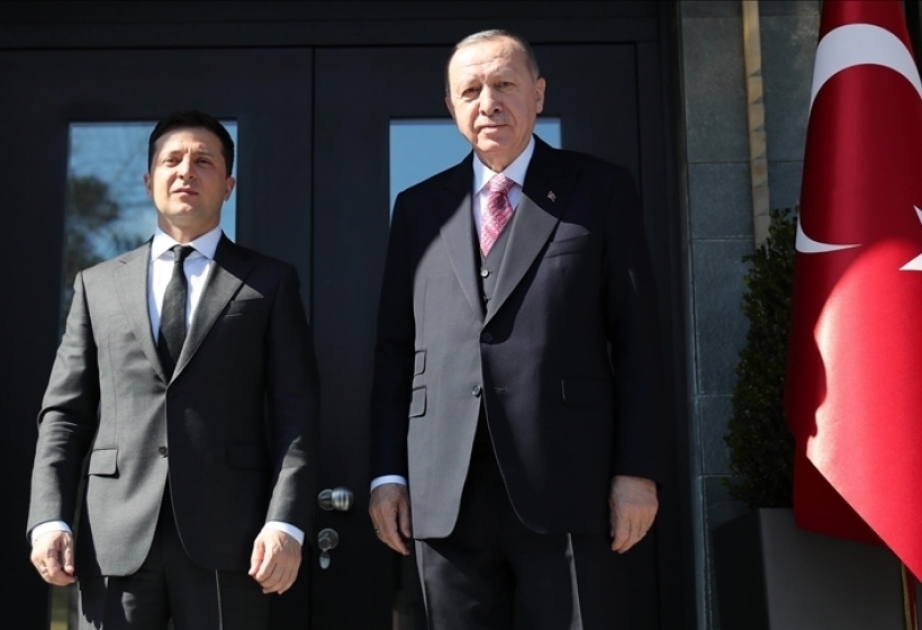乌克兰和土耳其两国总统通电话