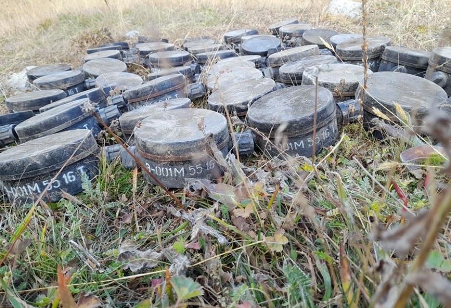 Mines planted in Dashkasan to commit a provocation were neutralized, Defense Ministry