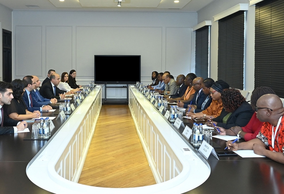 Se discuten la cooperación con la UNESCO y los países africanos en el campo de la educación