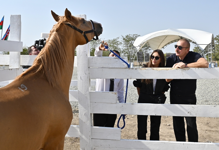 Foundation stone for Horse Breeding Center was laid in Aghdam President Ilham Aliyev and First Lady Mehriban Aliyeva attended the ceremony VIDEO
