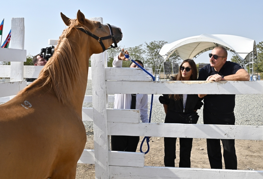 Colocación de la primera piedra del Centro de Cría de Caballos en Aghdam
