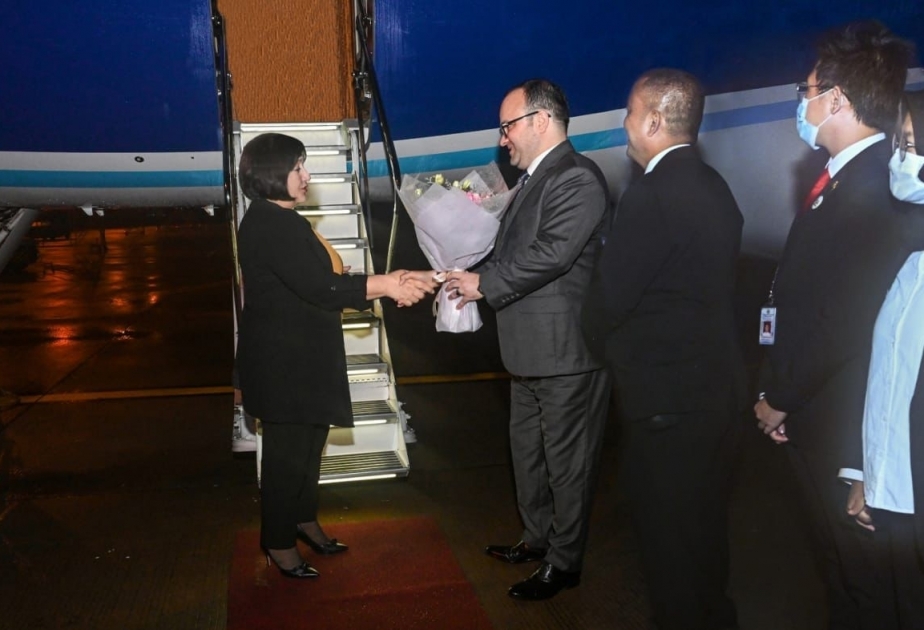 Начался визит председателя Милли Меджлиса в Республику Индонезия