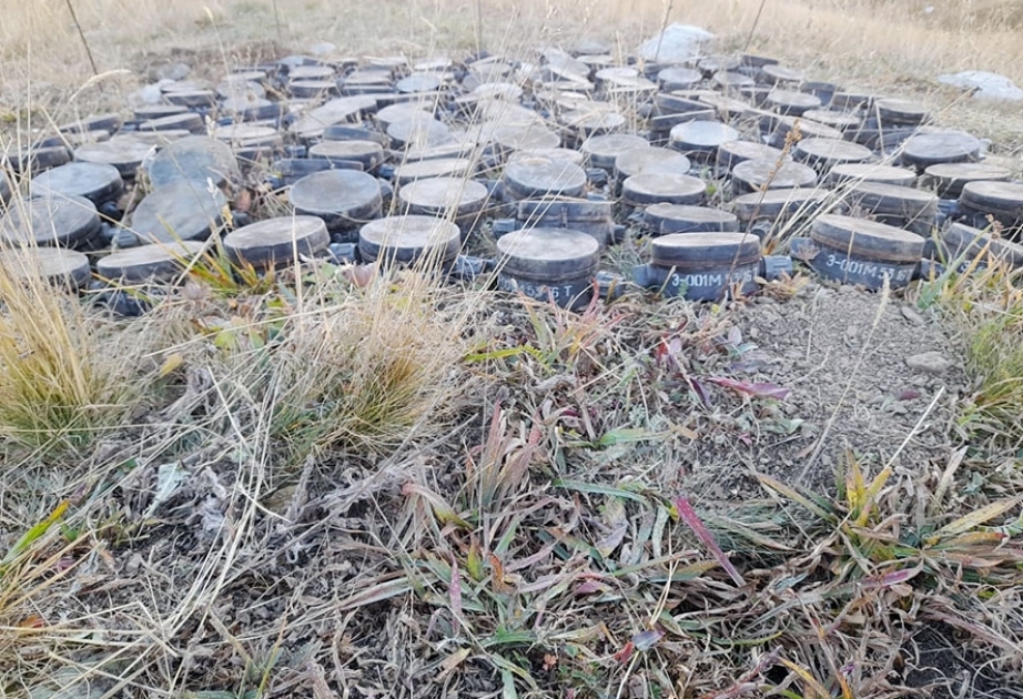 Las minas plantadas por los armenios en Kalbajar y Dashkasan se neutralizaron