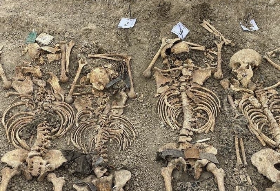 Azerbaijani diaspora organizations appeal to international organizations on mass burial site found in Edilli village, Khojavand district