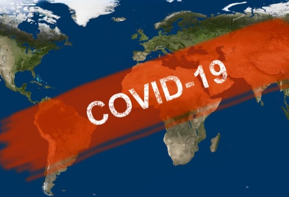 Глава ВОЗ: Мы ожидаем увеличения числа сообщений о случаях COVID-19