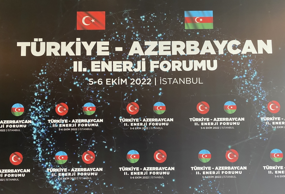İstanbulda Azərbaycan-Türkiyə II Enerji Forumu keçirilir
