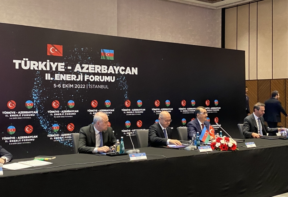 İstanbulda Azərbaycan-Türkiyə II Enerji Forumu keçirilib VİDEO