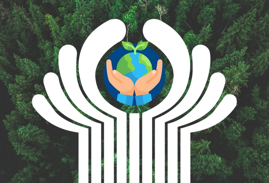 Очередное заседание Межгосударственного экологического совета стран СНГ прошло в онлайн-режиме