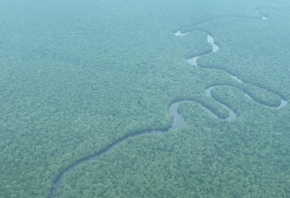 Salonga National Park - Africa's largest tropical rainforest reserve protected by UNESCO