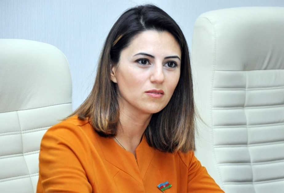 Deputat: Sülh təklifinin müddəaları beynəlxalq hüququn normalarına əsaslanır