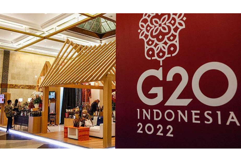 Format of Russia’s participation in G20 summit remains undecided — Kremlin