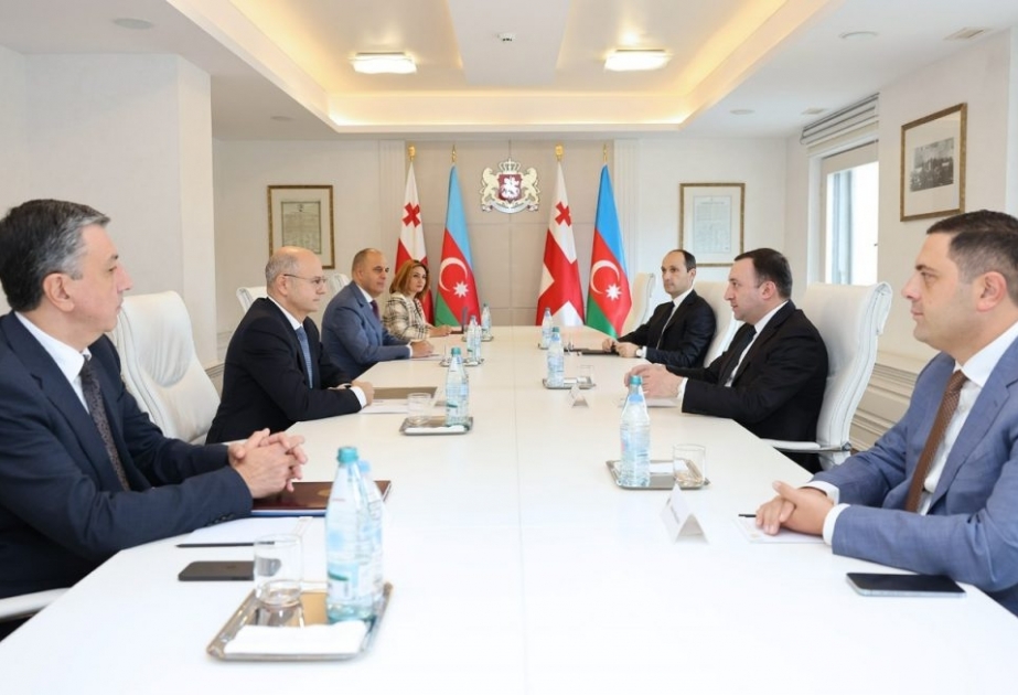 Azərbaycanın energetika naziri Gürcüstanın Baş naziri ilə görüşüb