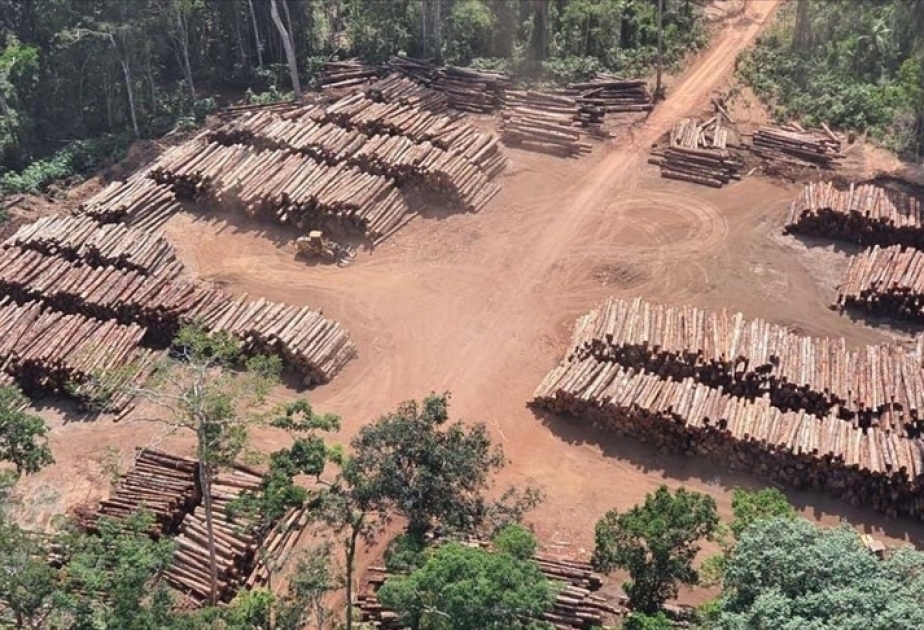 Brasil registra récord de deforestación en la Amazonía en septiembre