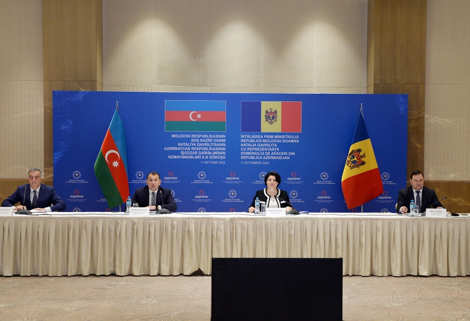 Bakıda Azərbaycan-Moldova işgüzar görüşü keçirilir VİDEO