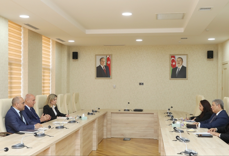 Misir səfiri: AZƏRTAC ilə MENA agentliyi arasında əlaqələrin genişlənməsini dəstəkləməyə hazırıq VİDEO