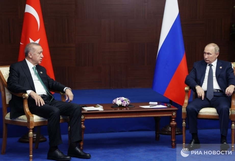 Putin proposes building natural gas hub in Türkiye