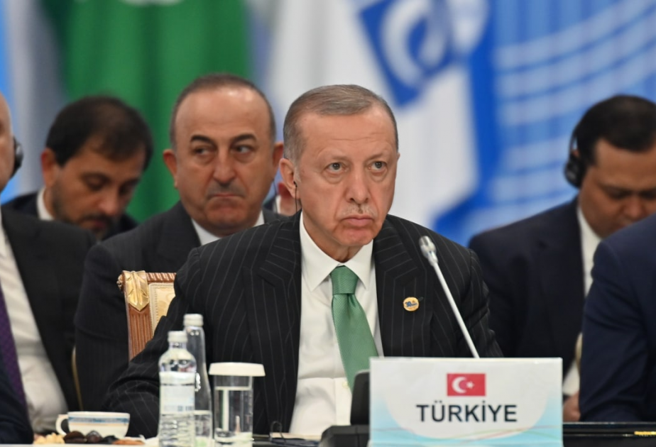 Türkiye's aim is to stop bloodshed in Russia-Ukraine war: President