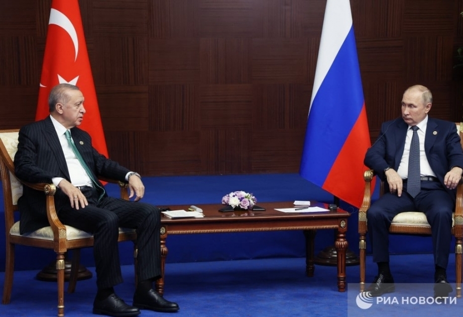Президенты России и Турции не обсуждали украинский кризис