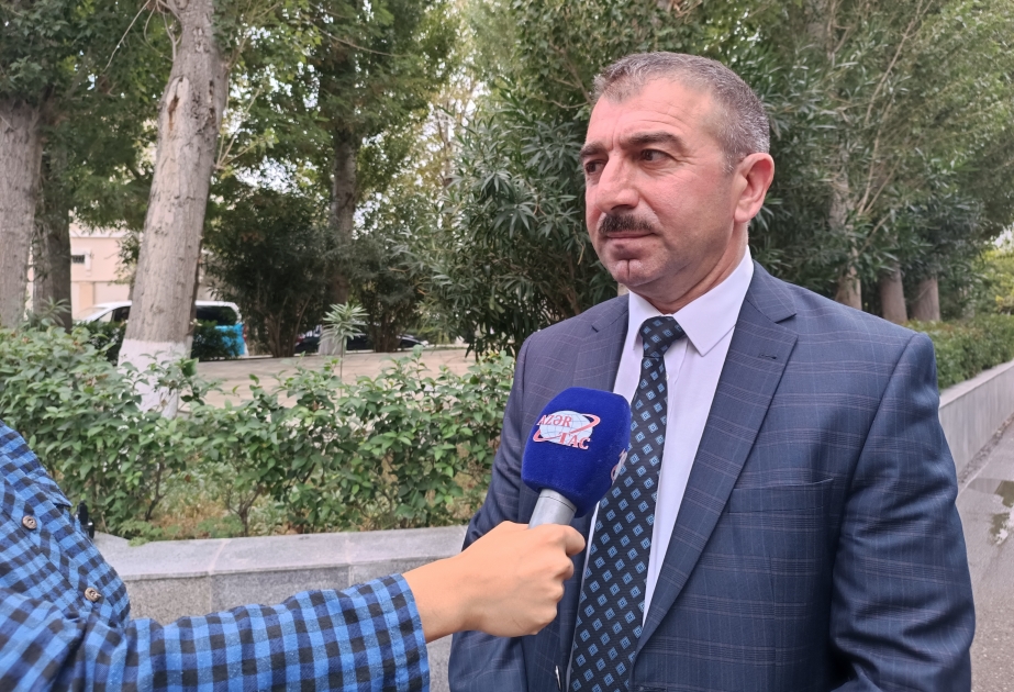 Vahid Fərzəliyev: Bəzi rayonlarda yaşıllıqların yarısı şam ağaclarından ibarətdir