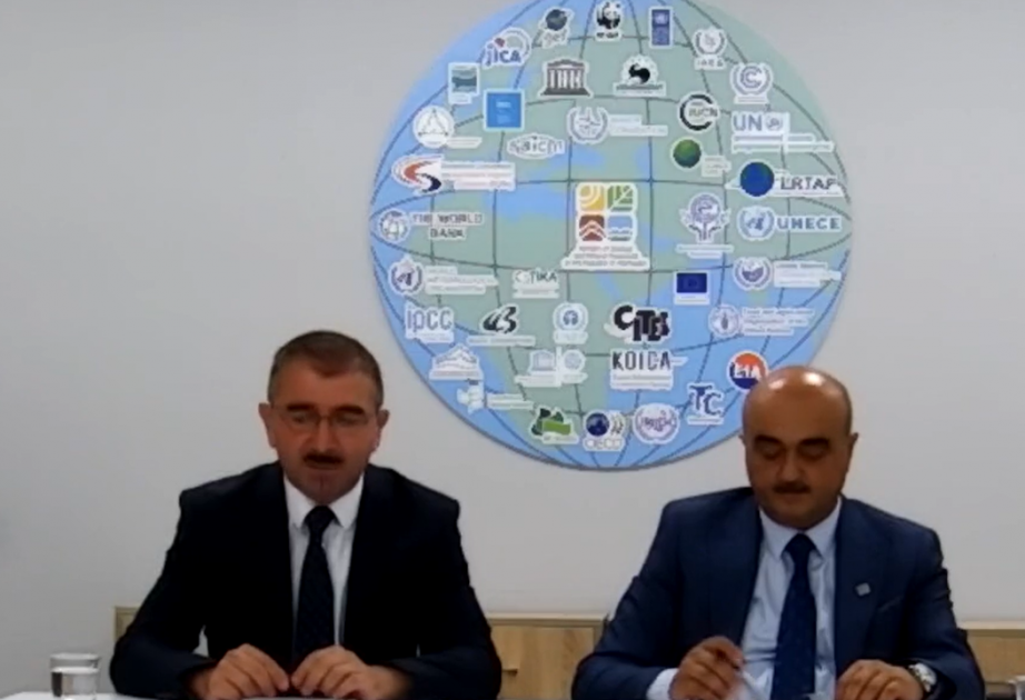 Vahid Fərzəliyev: Payız ağac əkini mövsümündə 800 mindən çox ağac tinginin əkilməsi planlaşdırılır