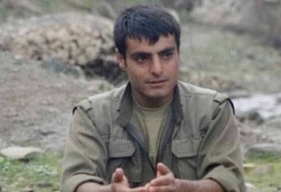 Türkiye ‘neutralizes’ terrorist YPG/PKK ringleader in northern Syria