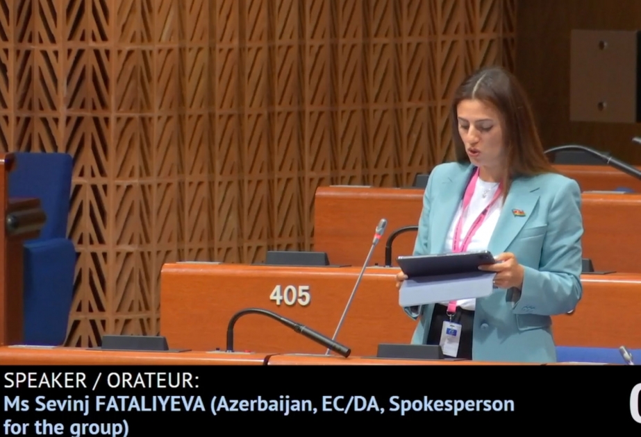 AŞPA-da Azərbaycan ərazilərini minalamağı dayandırması üçün Ermənistana təzyiqin artırılmasına çağırış edilib