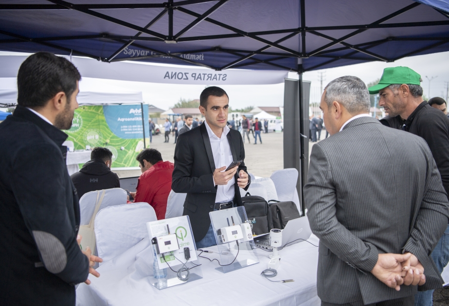 Se celebró un festival de innovación agrícola en el distrito Imishli de Azerbaiyán