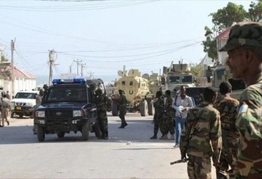 Trente éléments du mouvement al-Shabab tués en Somalie