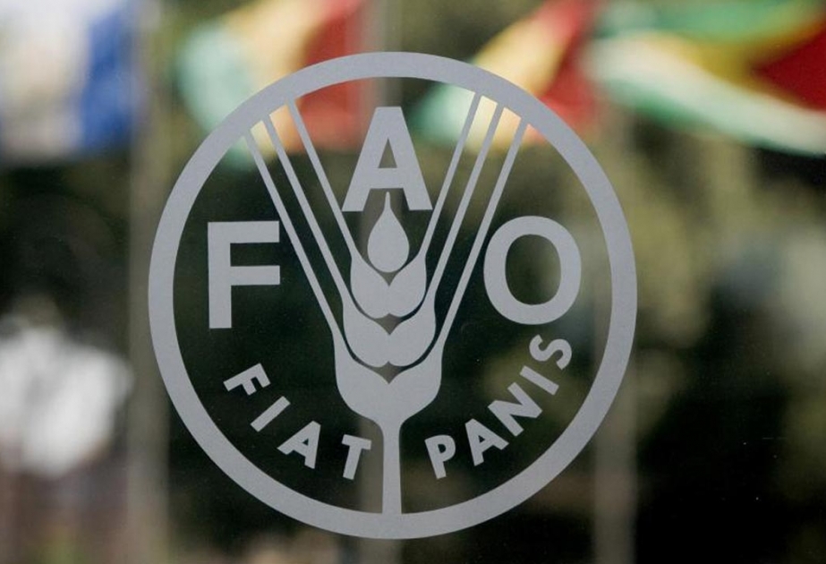 FAO: İqlim dəyişikliyi milyonlarla insanı aclığa sürükləyə bilər