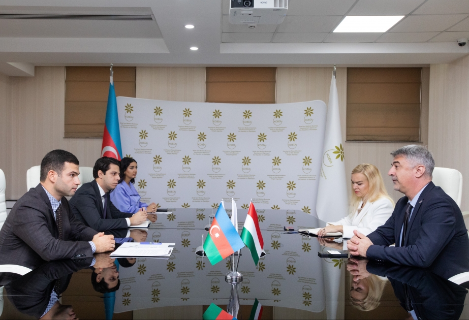 Debates sobre la cooperación en materia de pequeñas y medianas empresas entre Azerbaiyán y Hungría
