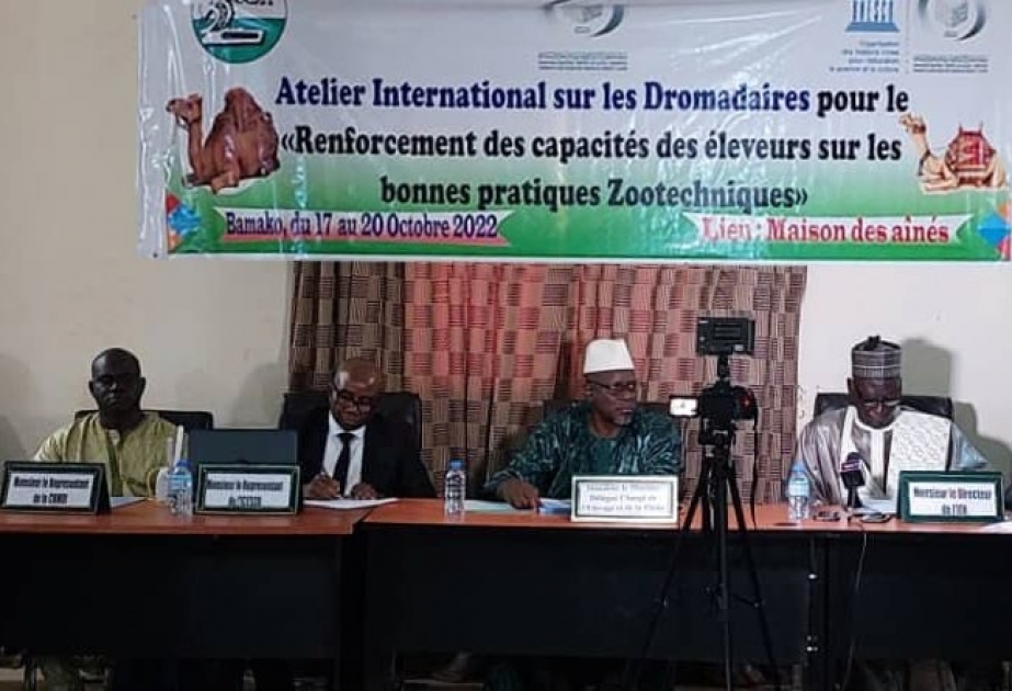 L’ICESCO organise un atelier sur le renforcement des capacités des éleveurs de dromadaires au Mali