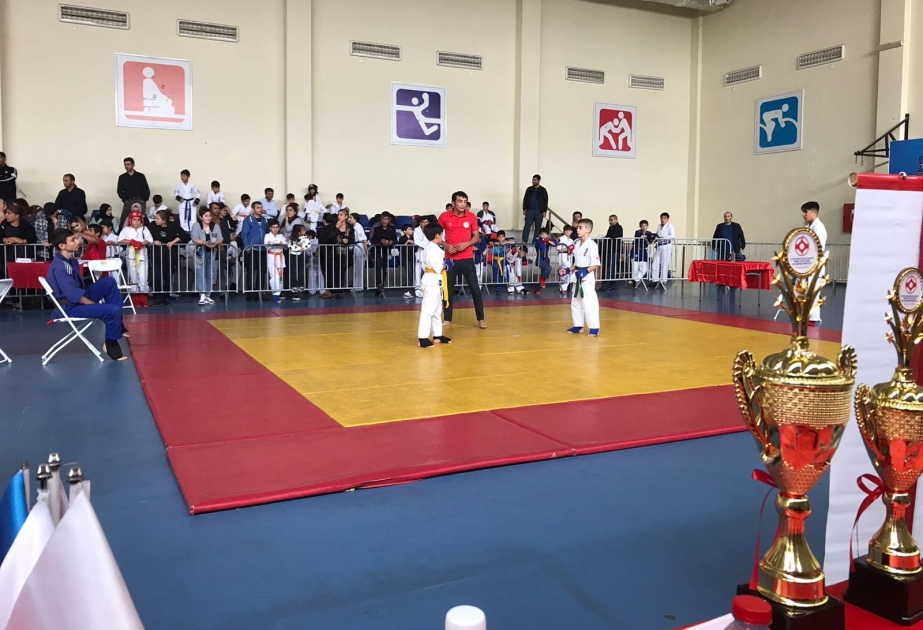 Yeniyetmə və gənclər arasında kyokuşinkaykan karate üzrə Bakı şəhər birinciliyi keçirilib