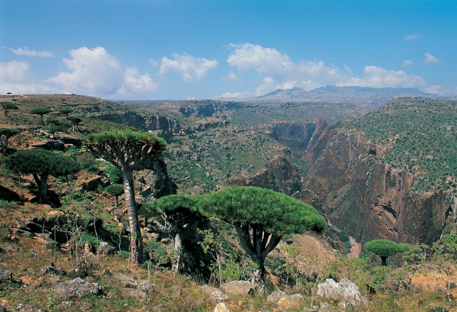 Yemen's Socotra Archipelago - UNESCO World Heritage site, Galápagos of Indian Ocean