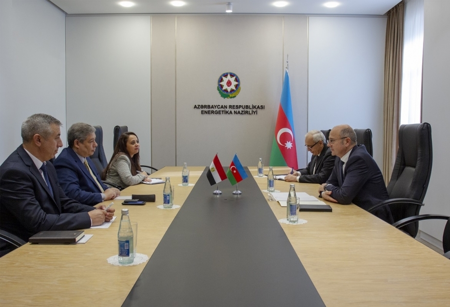 Azerbaijani energy minister meets with Egyptian ambassador