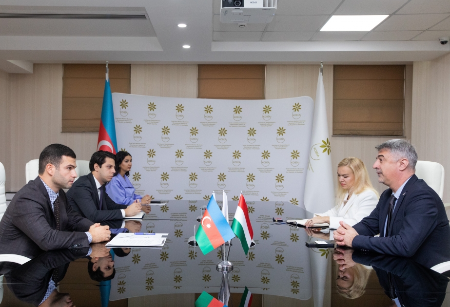 阿塞拜疆与匈牙利讨论中小企业合作