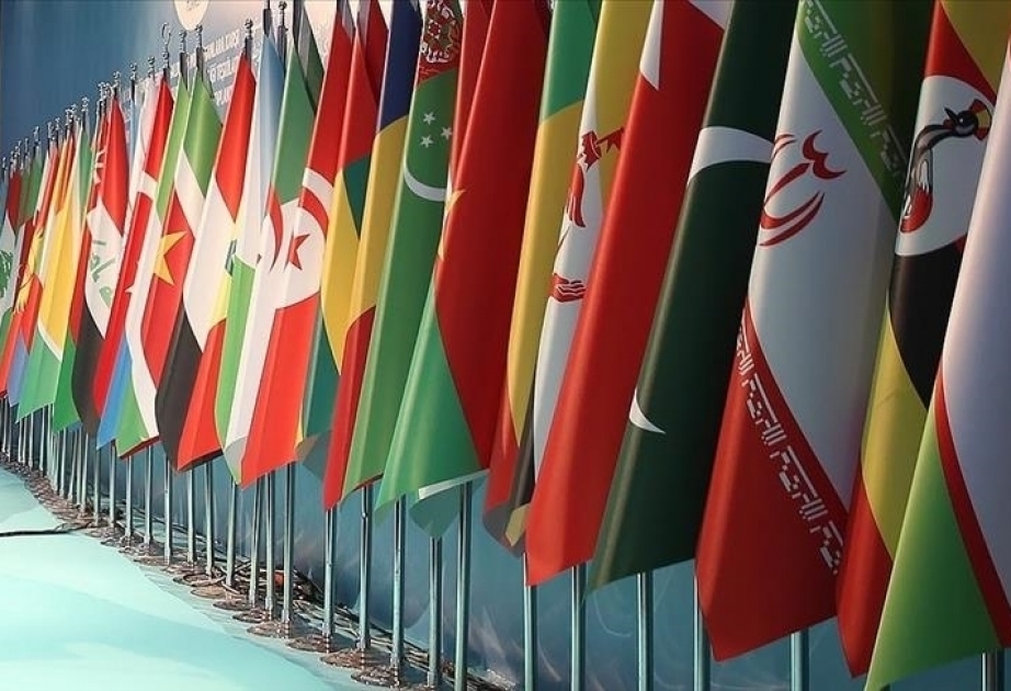 Lavrov to hold talks with OIC head in Moscow next week — Russian Foreign Ministry