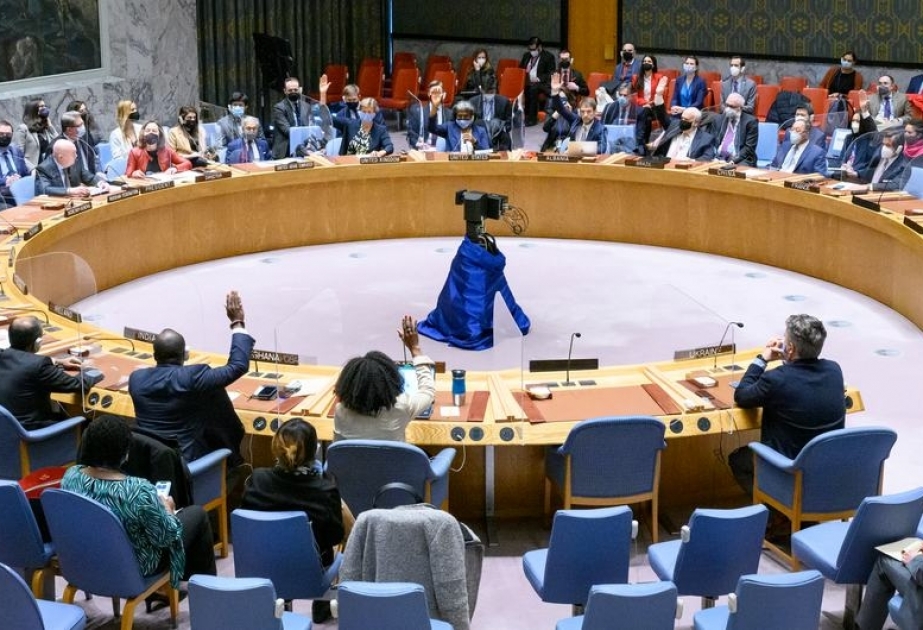Le Conseil de sécurité de l’ONU instaure un régime de sanctions pour réprimer la violence des gangs